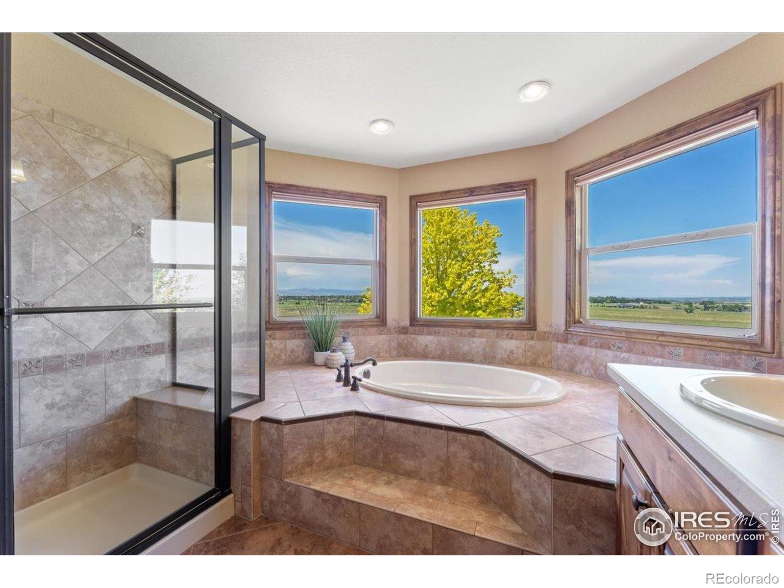 MLS Image #19 for 8276  blackwood drive,windsor, Colorado