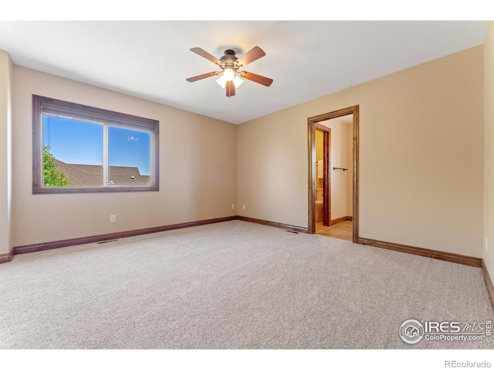 MLS Image #23 for 8276  blackwood drive,windsor, Colorado