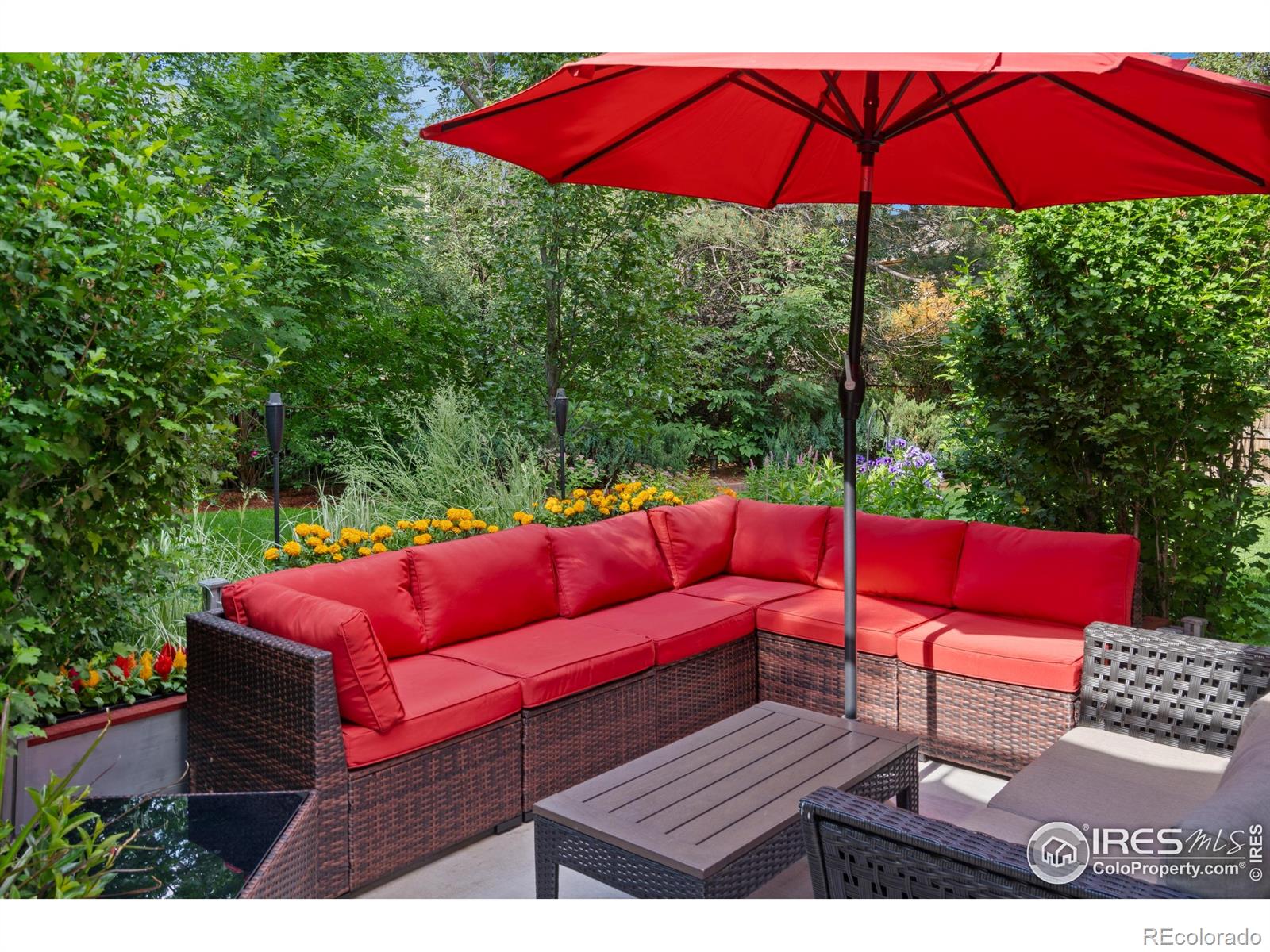 MLS Image #38 for 2824  zendt drive,fort collins, Colorado