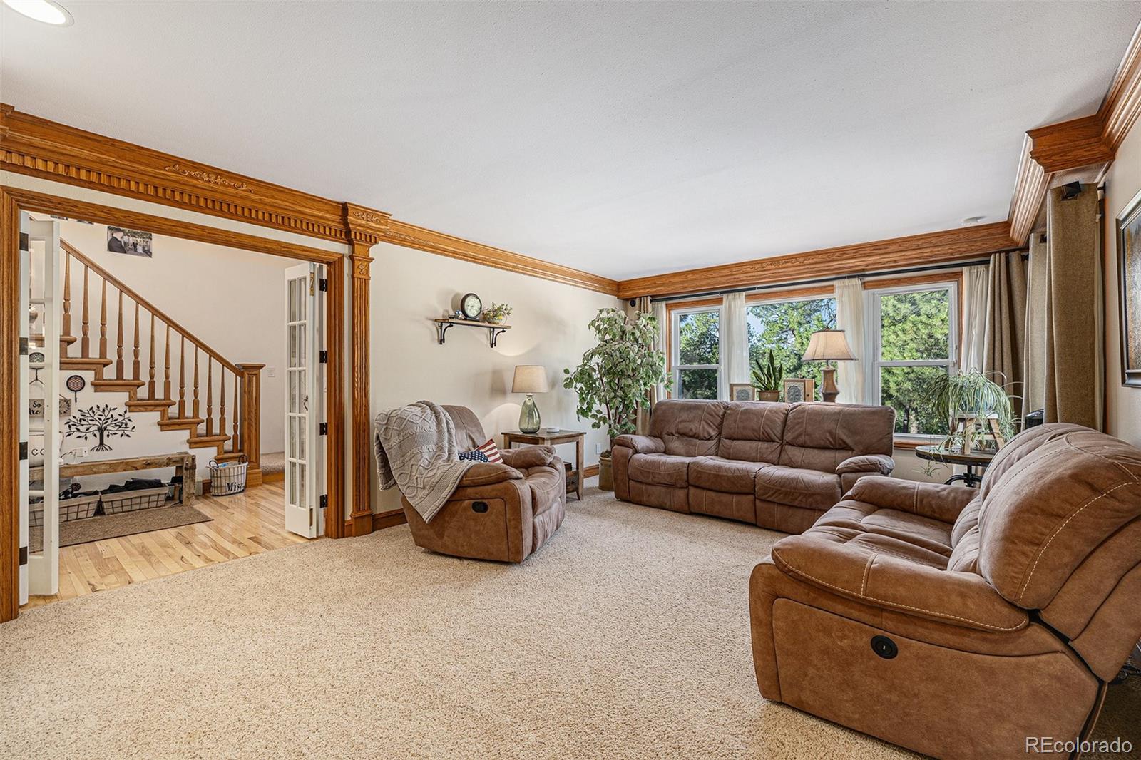 MLS Image #3 for 1730  rock ridge place,colorado springs, Colorado