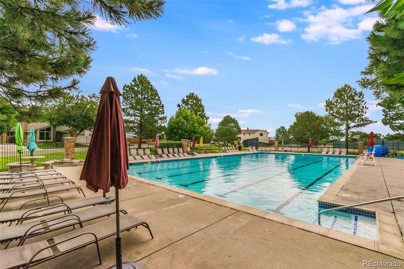 MLS Image #6 for 8002  field court,arvada, Colorado