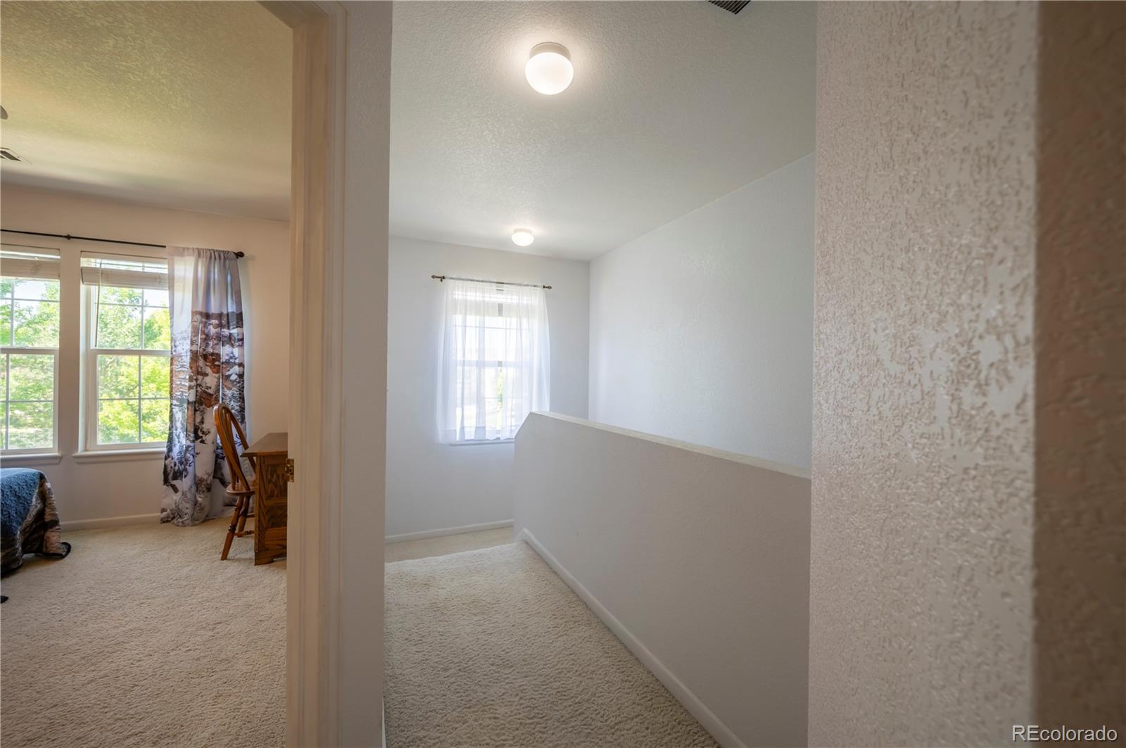 MLS Image #15 for 1469  nemrick place,castle rock, Colorado