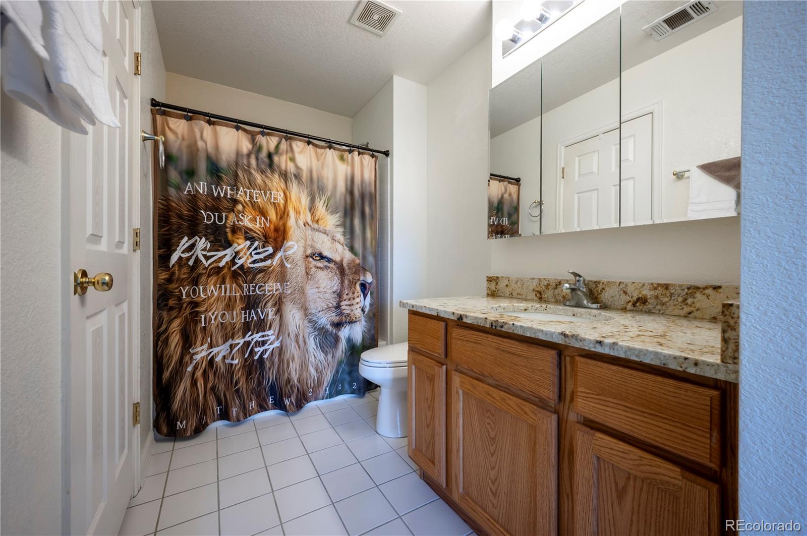 MLS Image #18 for 1469  nemrick place,castle rock, Colorado