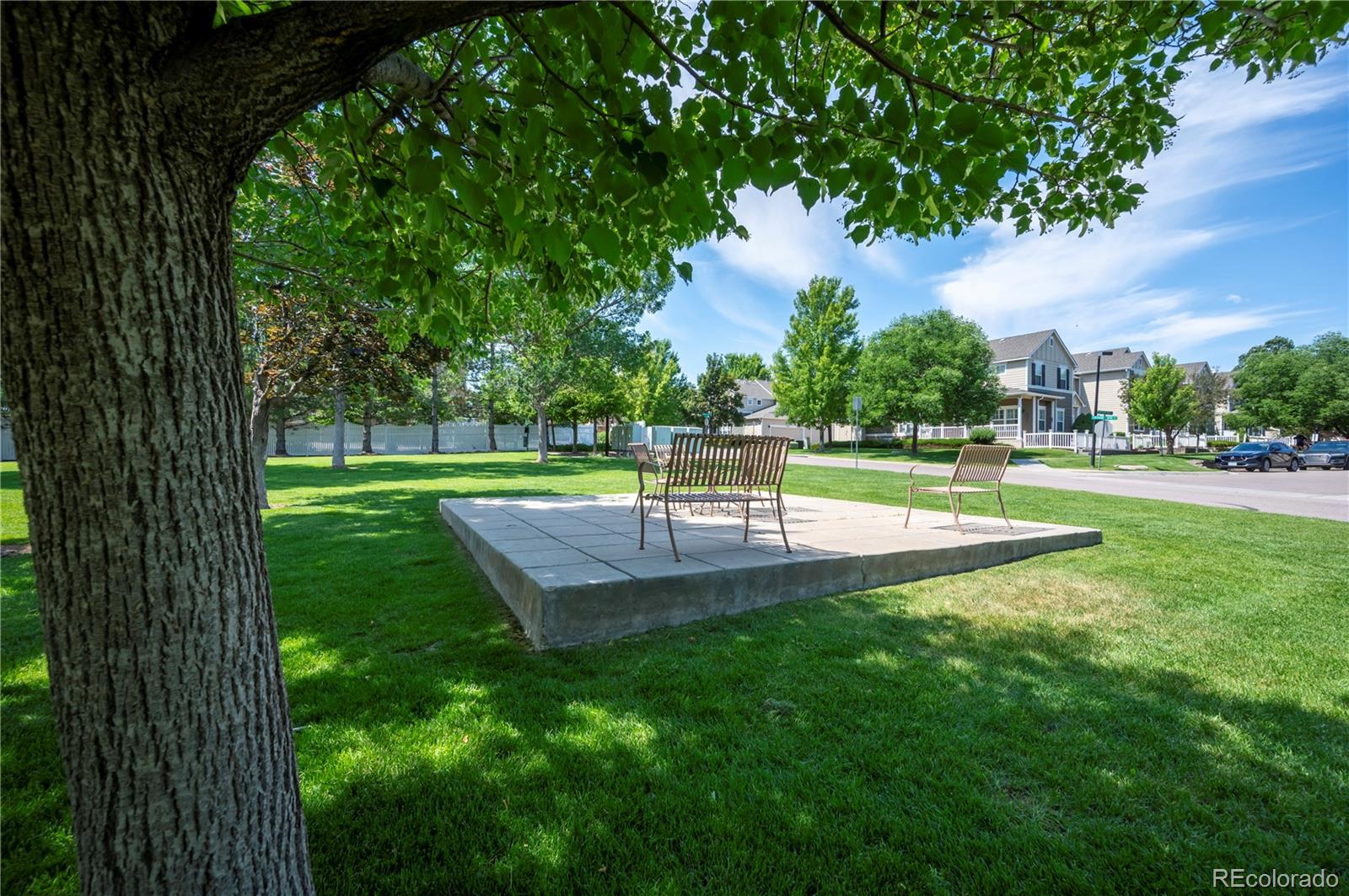 MLS Image #25 for 1469  nemrick place,castle rock, Colorado