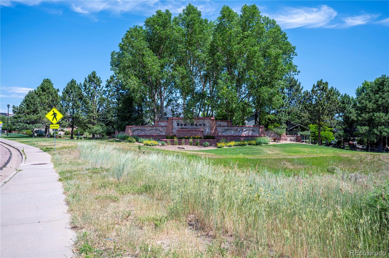 MLS Image #26 for 1469  nemrick place,castle rock, Colorado