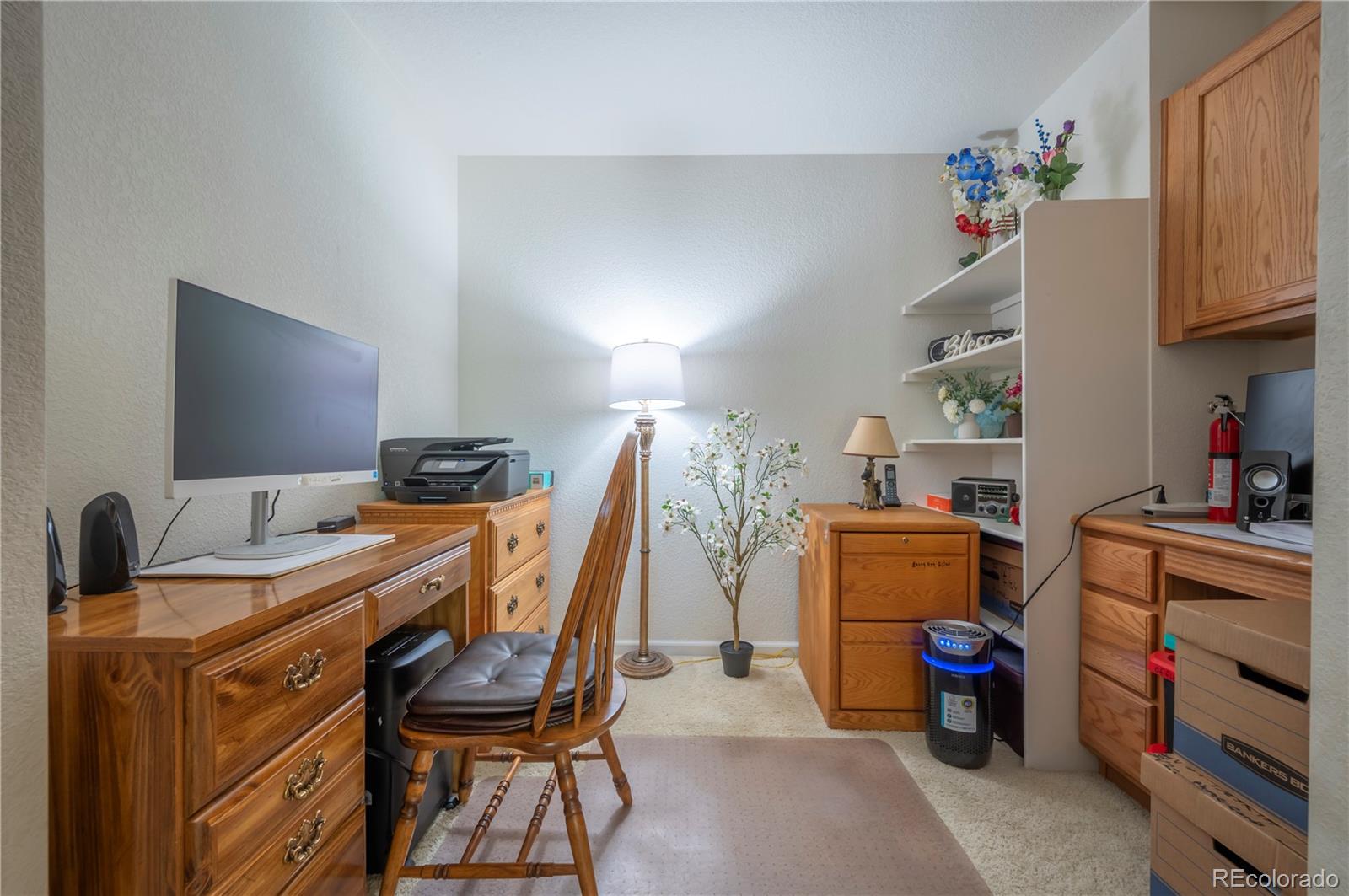 MLS Image #6 for 1469  nemrick place,castle rock, Colorado