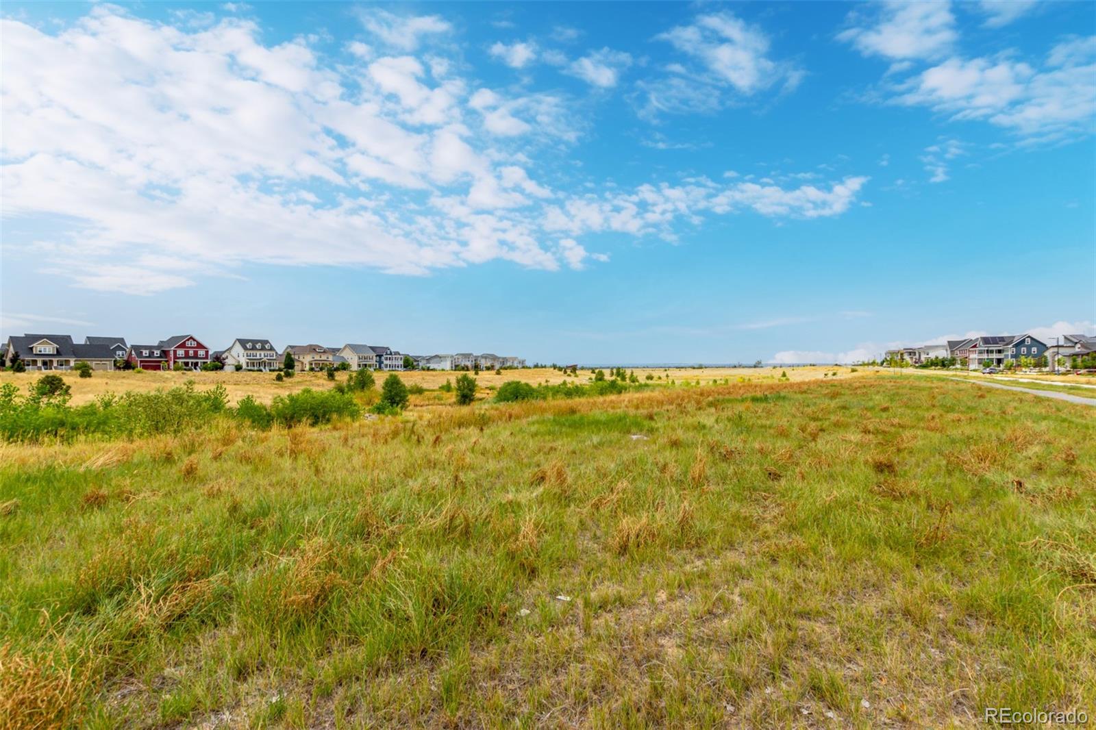 MLS Image #41 for 5834  beeler court,denver, Colorado