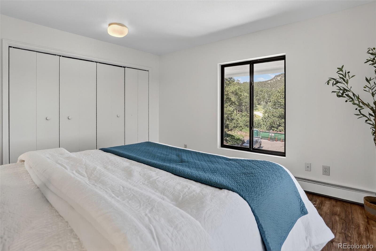 MLS Image #16 for 31270  john wallace road,evergreen, Colorado