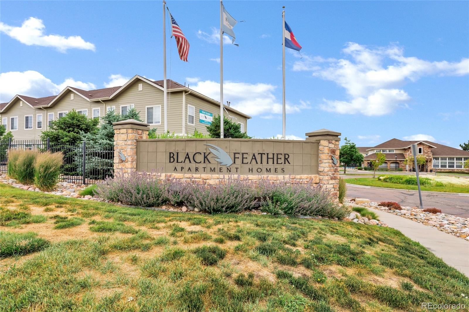 MLS Image #19 for 457  black feather loop,castle rock, Colorado