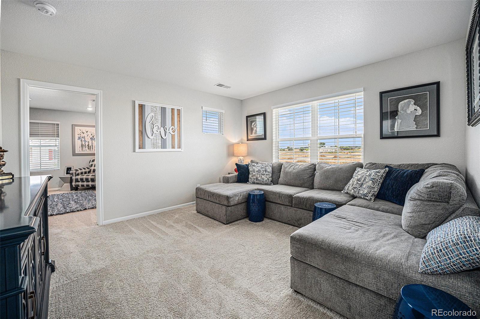 MLS Image #15 for 731  shooting star way,brighton, Colorado