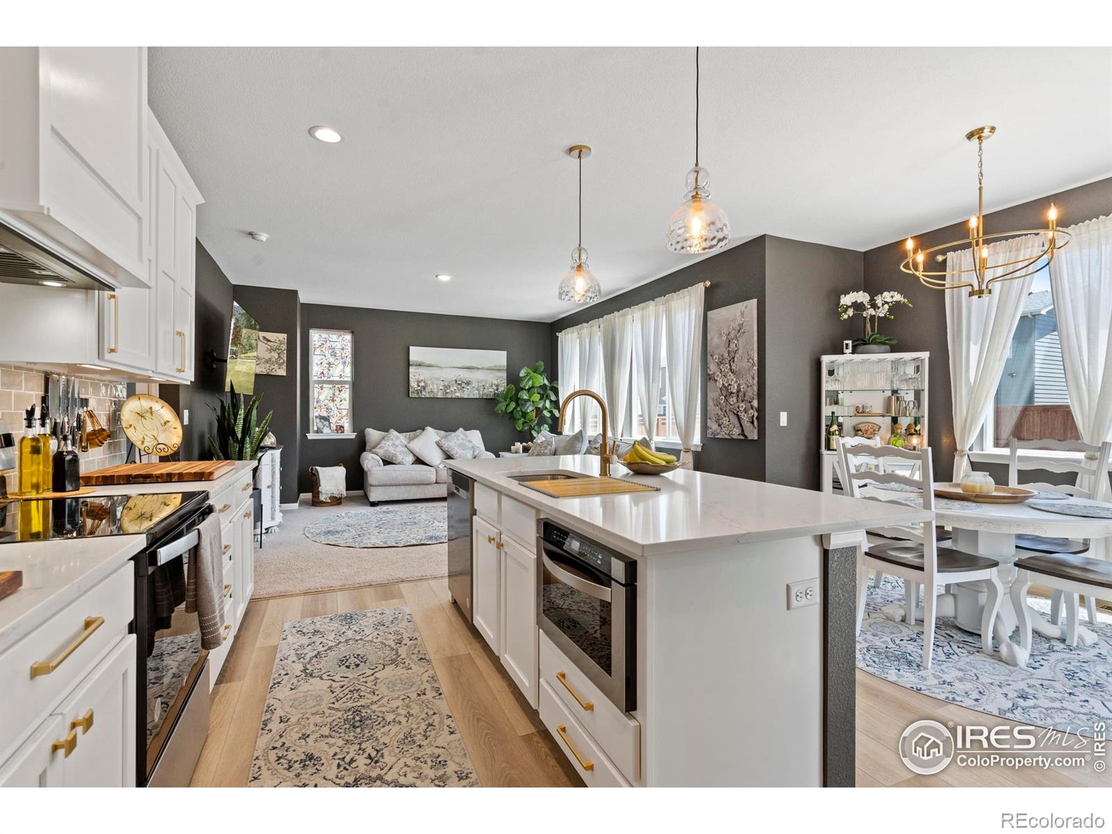 MLS Image #15 for 1228  104th ave ct,greeley, Colorado