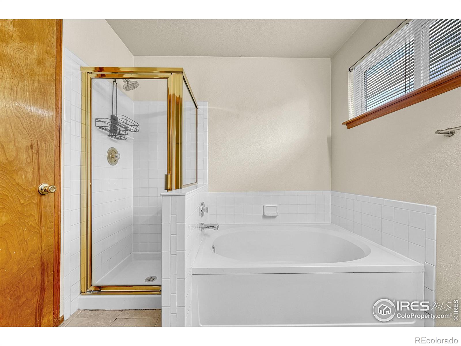 MLS Image #14 for 1358  amherst street,superior, Colorado