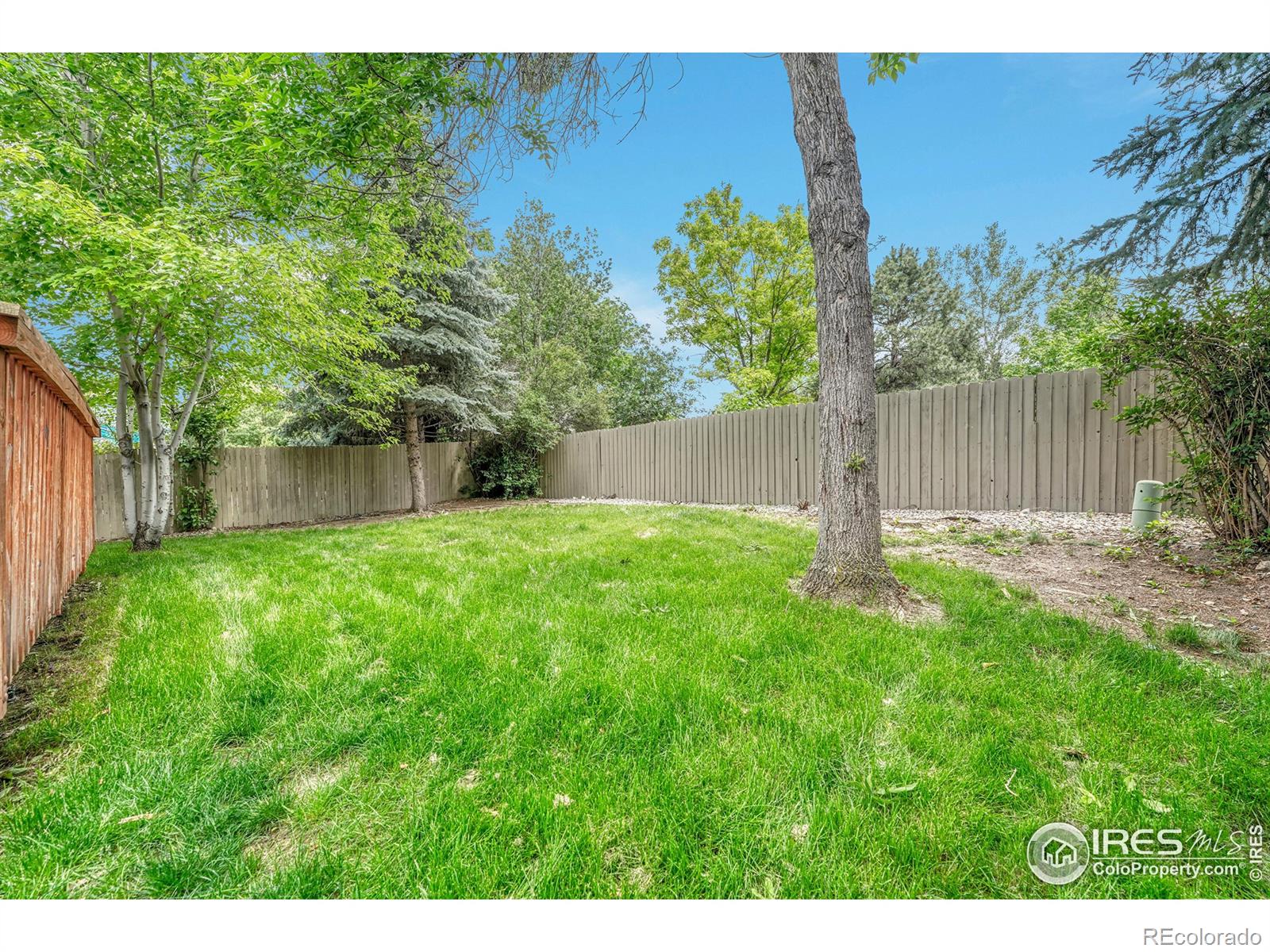 MLS Image #26 for 1358  amherst street,superior, Colorado