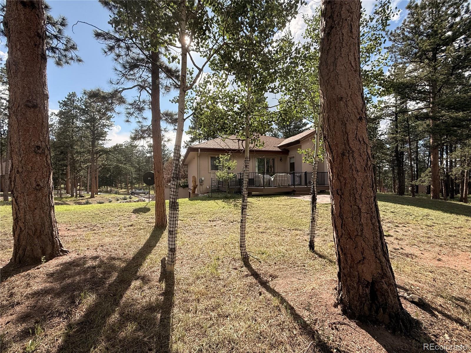 MLS Image #43 for 185  wildrose court,woodland park, Colorado