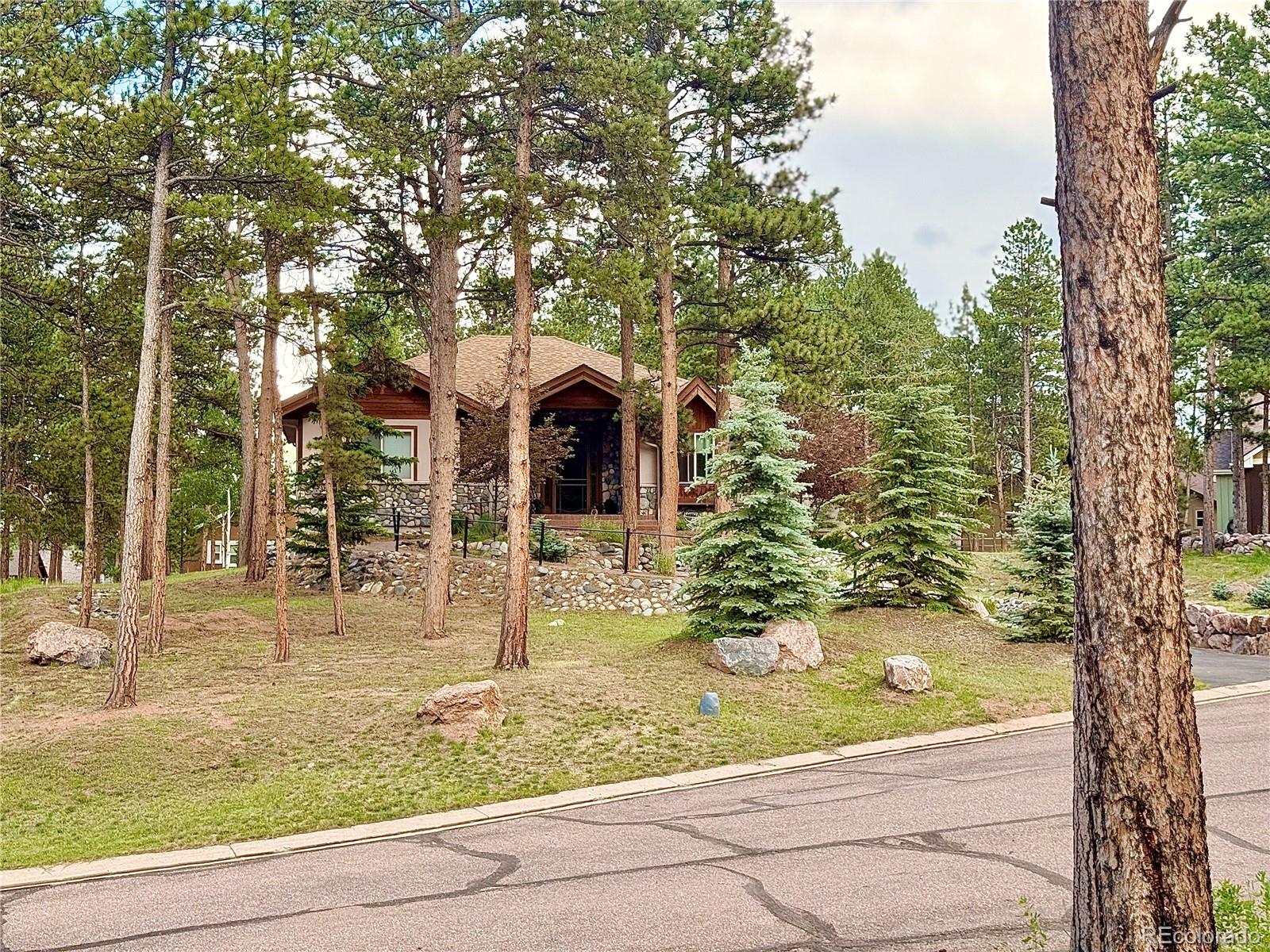 MLS Image #46 for 185  wildrose court,woodland park, Colorado