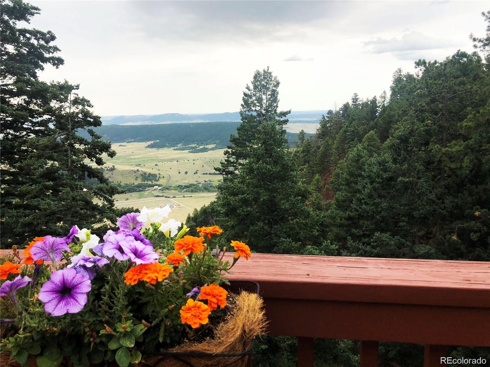 MLS Image #2 for 13540  deer ridge way,larkspur, Colorado