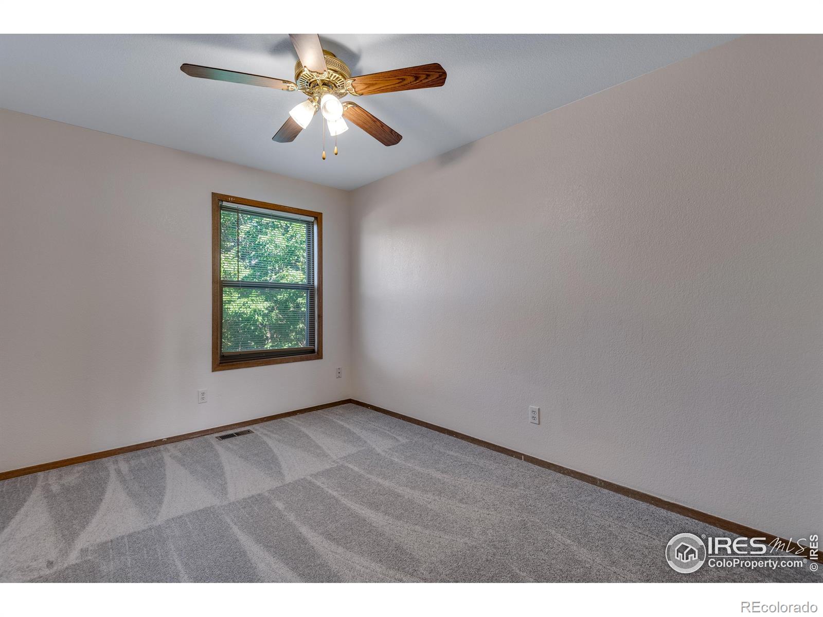 MLS Image #11 for 2325  steele street,longmont, Colorado