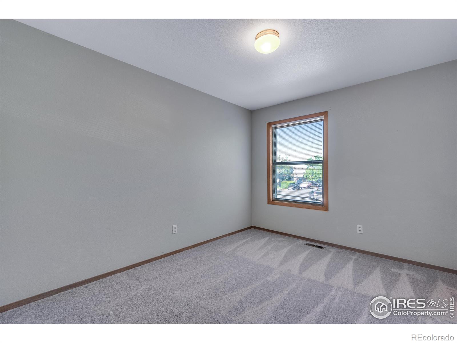 MLS Image #12 for 2325  steele street,longmont, Colorado