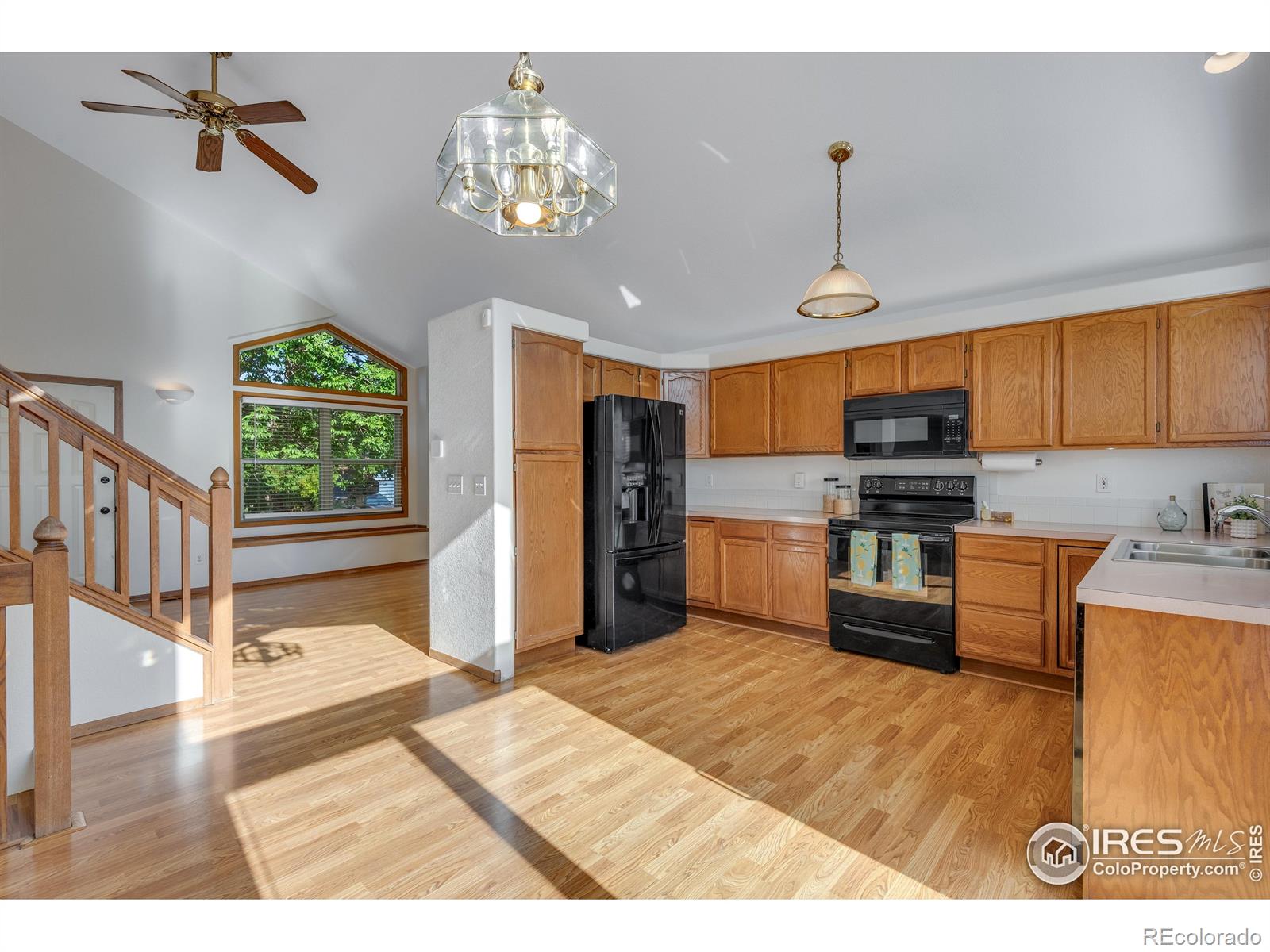 MLS Image #4 for 2325  steele street,longmont, Colorado