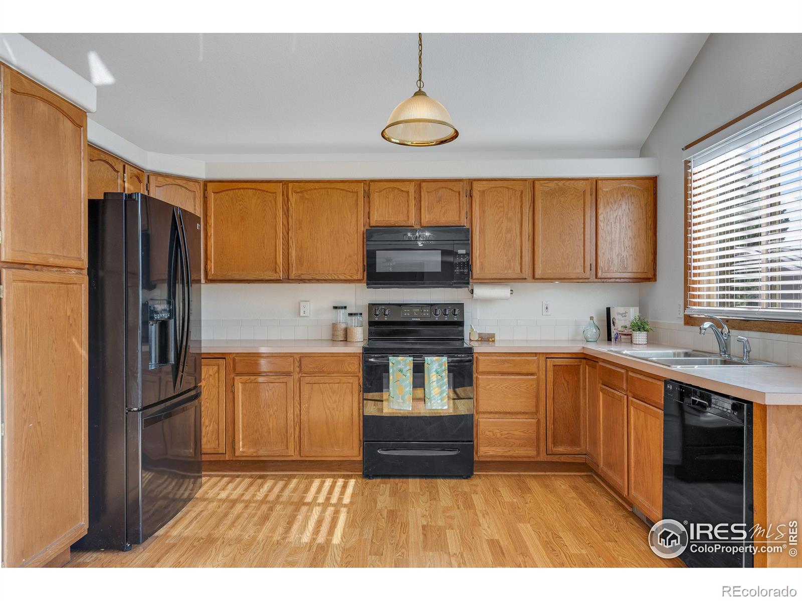 MLS Image #5 for 2325  steele street,longmont, Colorado