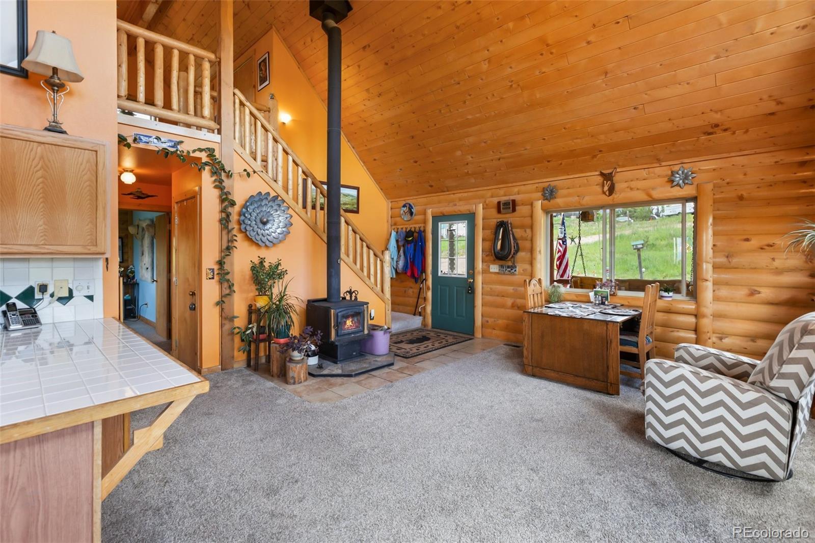 MLS Image #16 for 42  ridge circle,divide, Colorado
