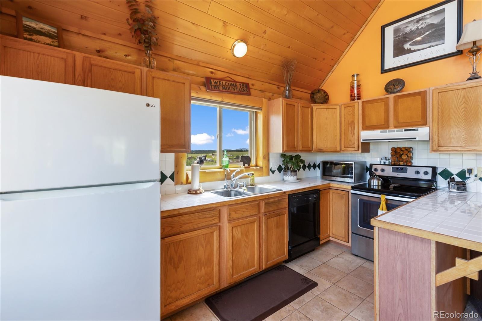 MLS Image #18 for 42  ridge circle,divide, Colorado