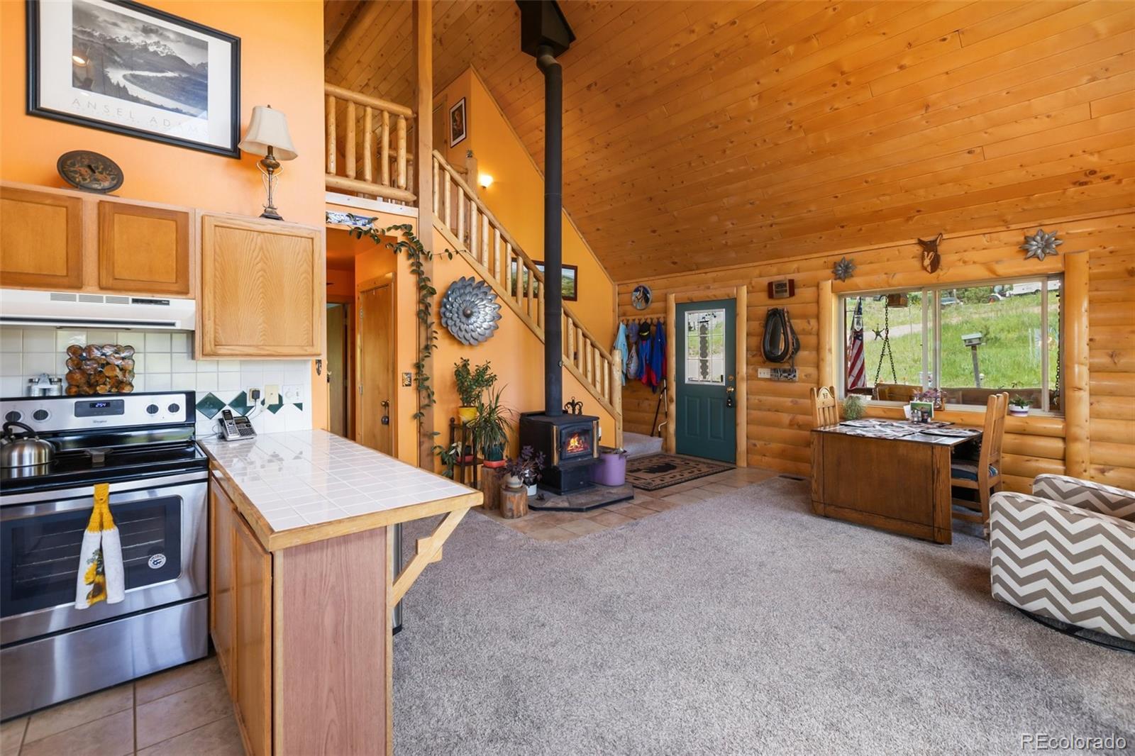 MLS Image #19 for 42  ridge circle,divide, Colorado