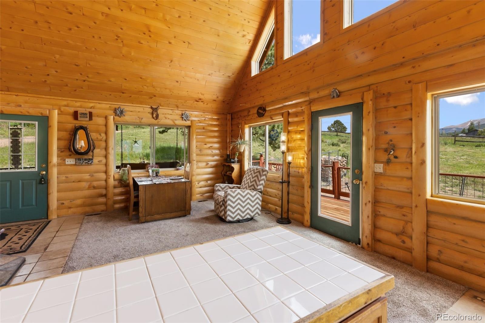 MLS Image #20 for 42  ridge circle,divide, Colorado