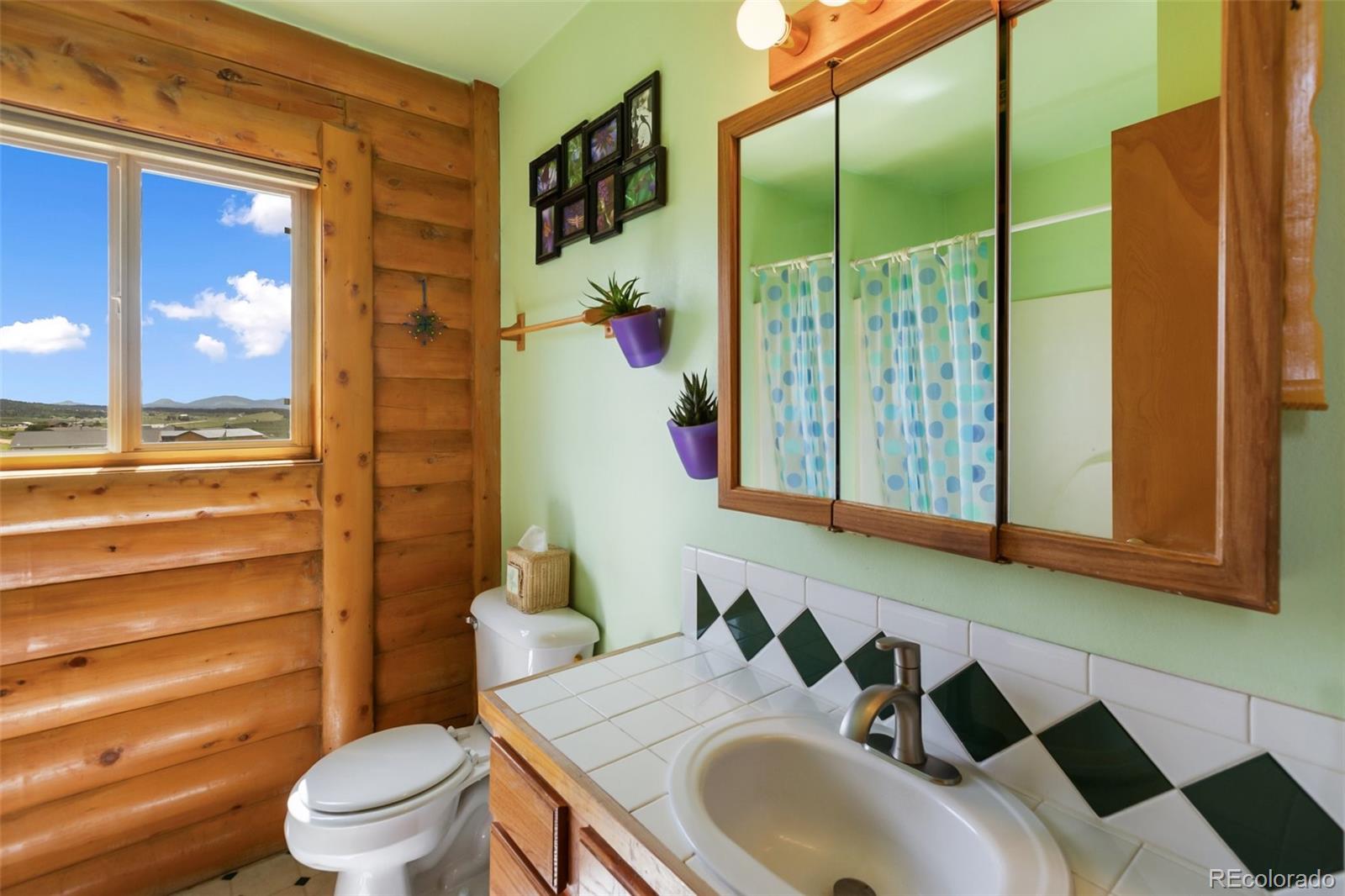 MLS Image #21 for 42  ridge circle,divide, Colorado