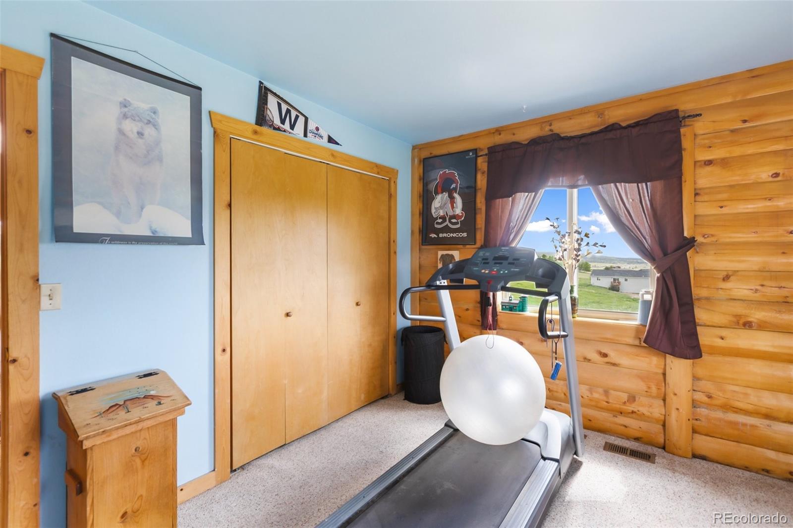 MLS Image #22 for 42  ridge circle,divide, Colorado