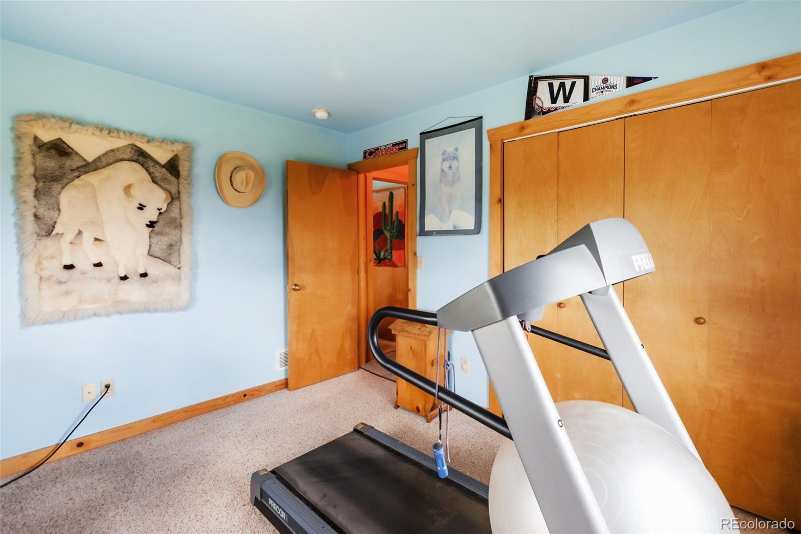 MLS Image #23 for 42  ridge circle,divide, Colorado
