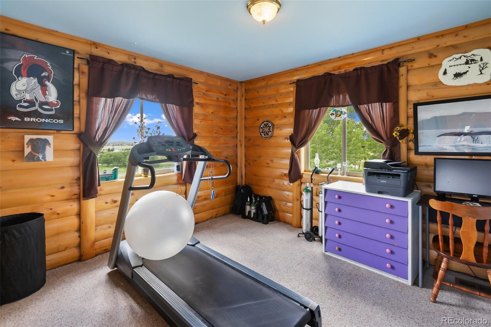 MLS Image #24 for 42  ridge circle,divide, Colorado
