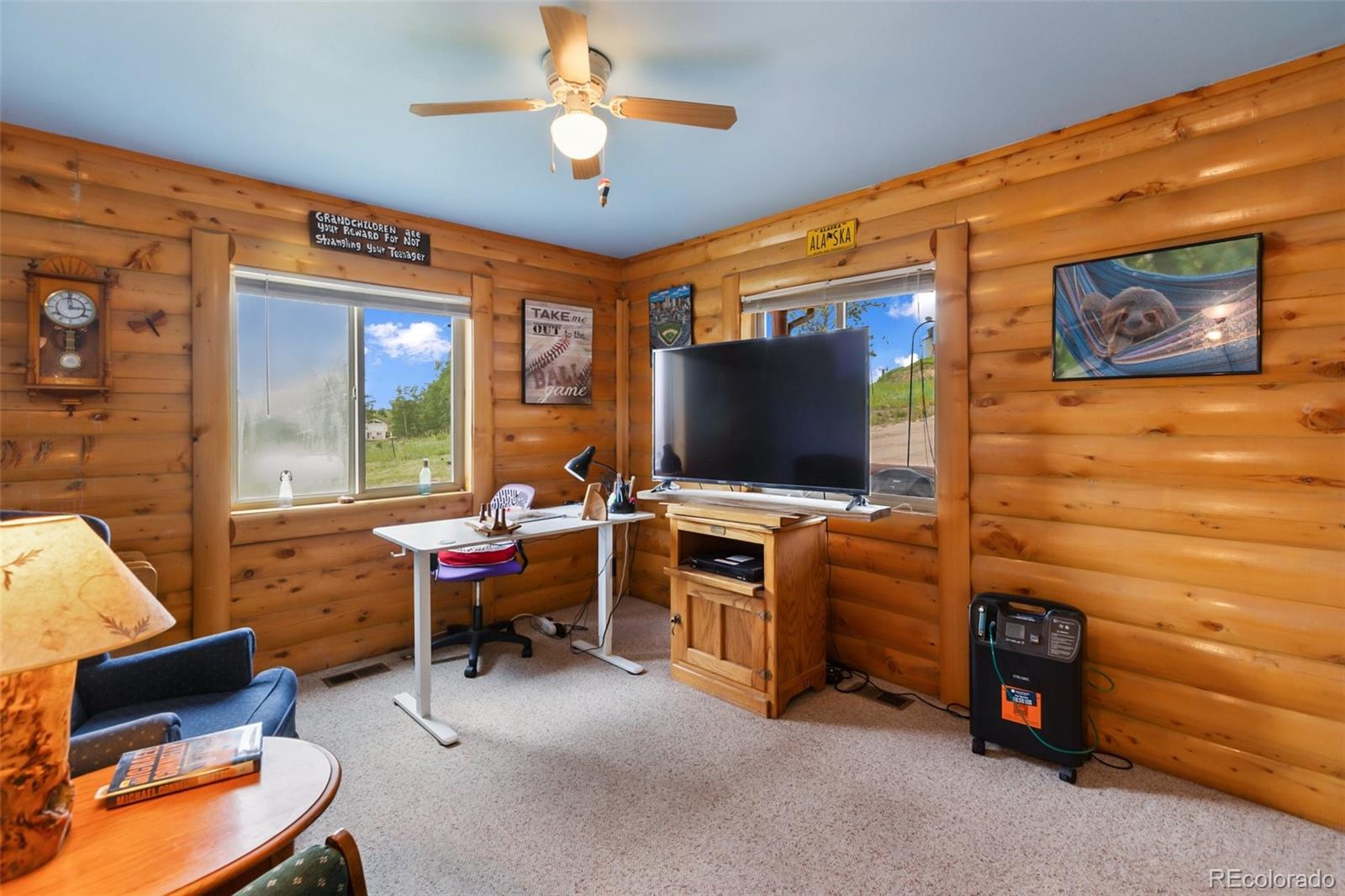 MLS Image #25 for 42  ridge circle,divide, Colorado