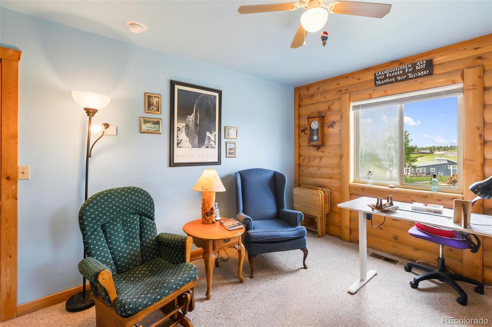 MLS Image #26 for 42  ridge circle,divide, Colorado