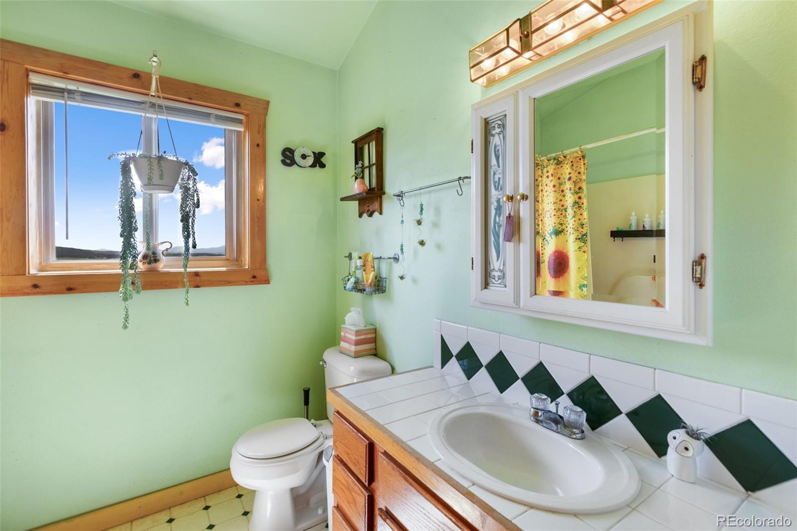 MLS Image #28 for 42  ridge circle,divide, Colorado