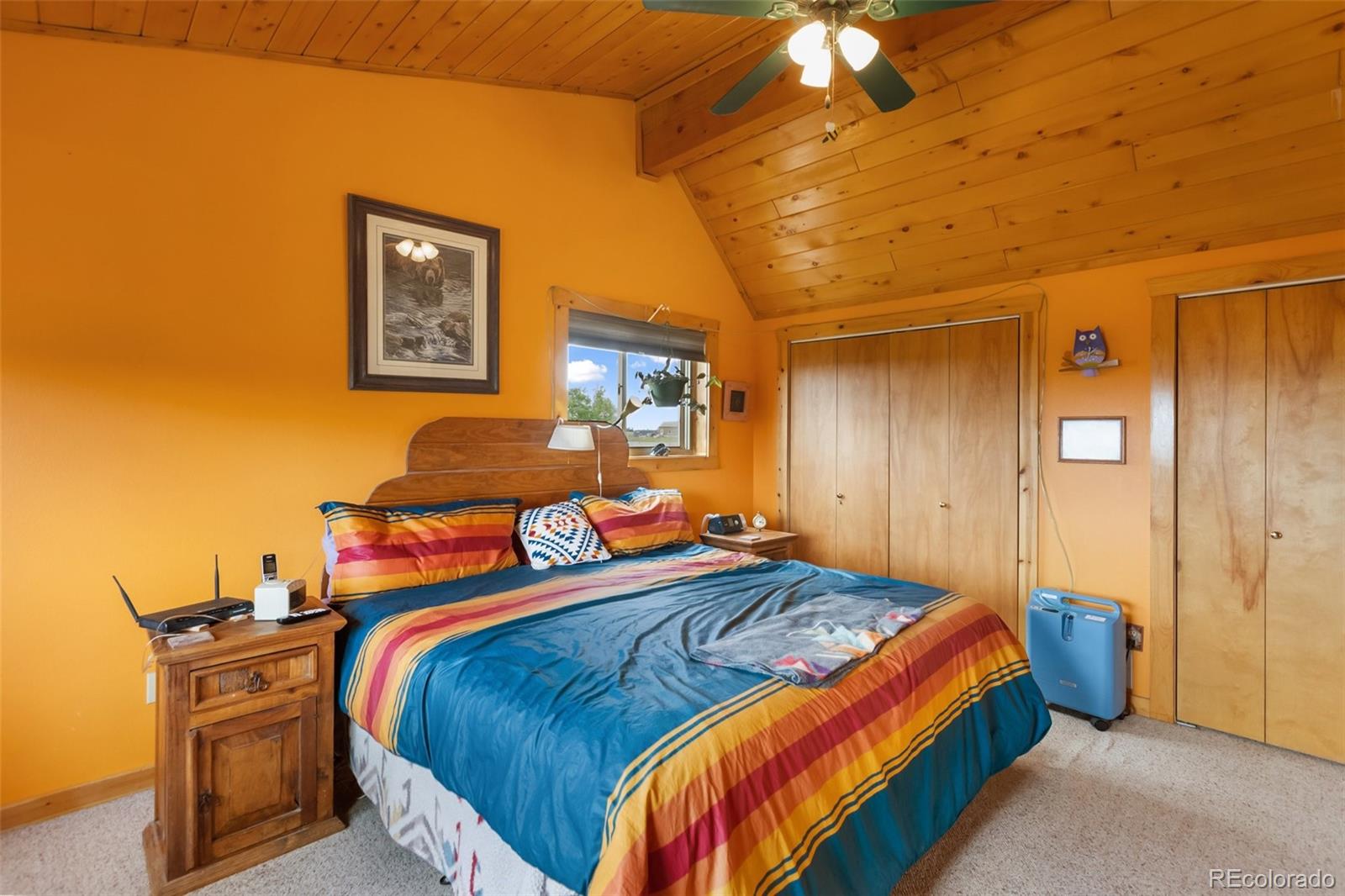 MLS Image #30 for 42  ridge circle,divide, Colorado