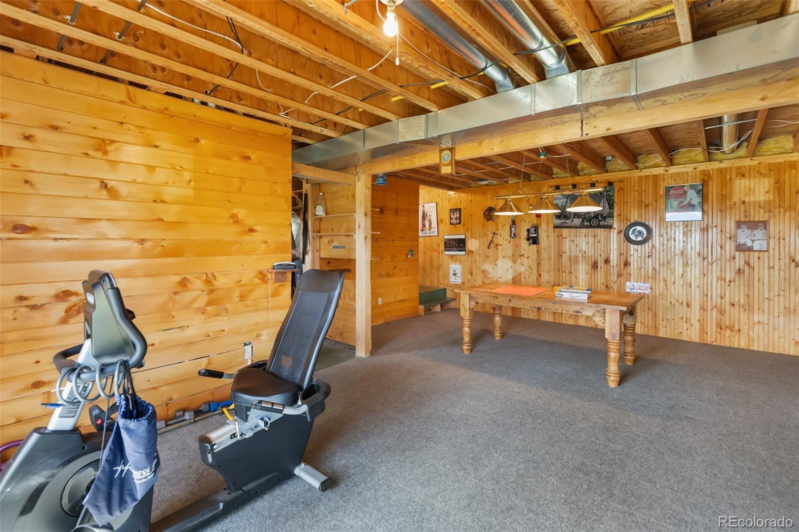 MLS Image #39 for 42  ridge circle,divide, Colorado