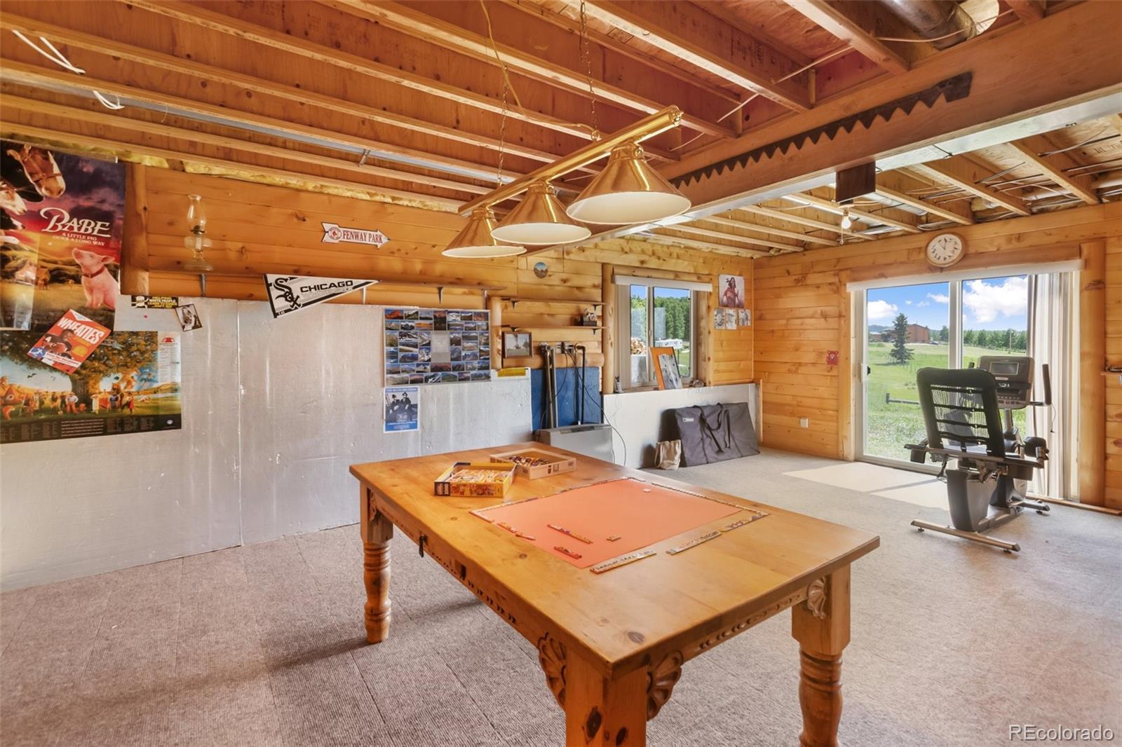 MLS Image #41 for 42  ridge circle,divide, Colorado