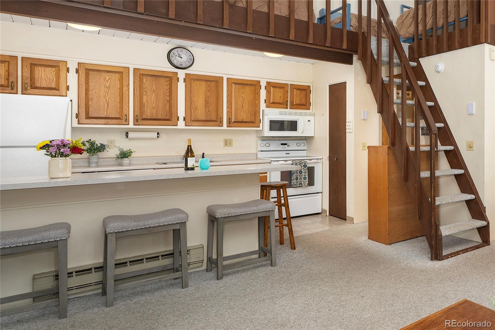 MLS Image #11 for 240  vasquez road,winter park, Colorado