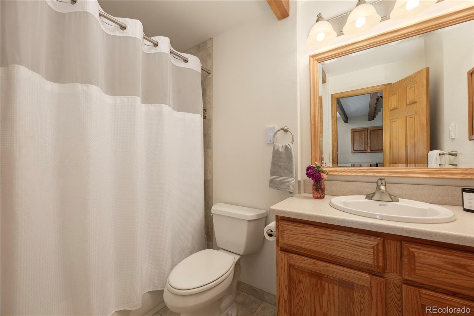 MLS Image #12 for 240  vasquez road,winter park, Colorado