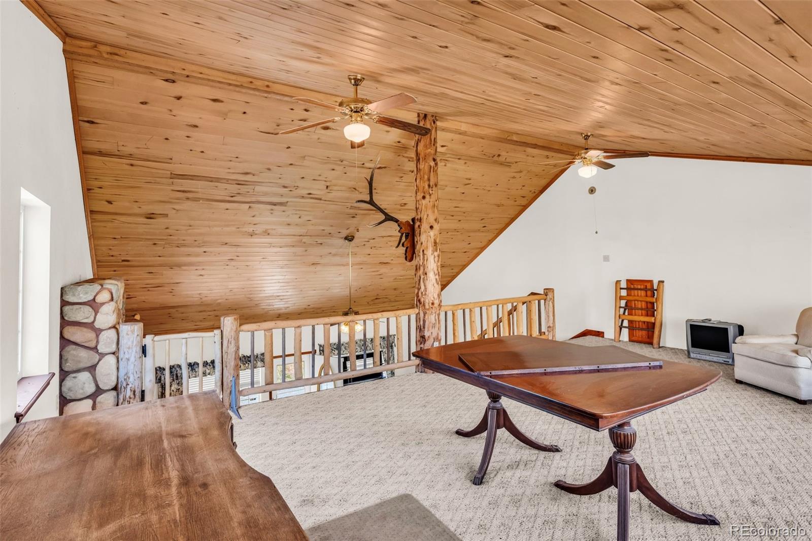 MLS Image #18 for 161  shannon road,cotopaxi, Colorado
