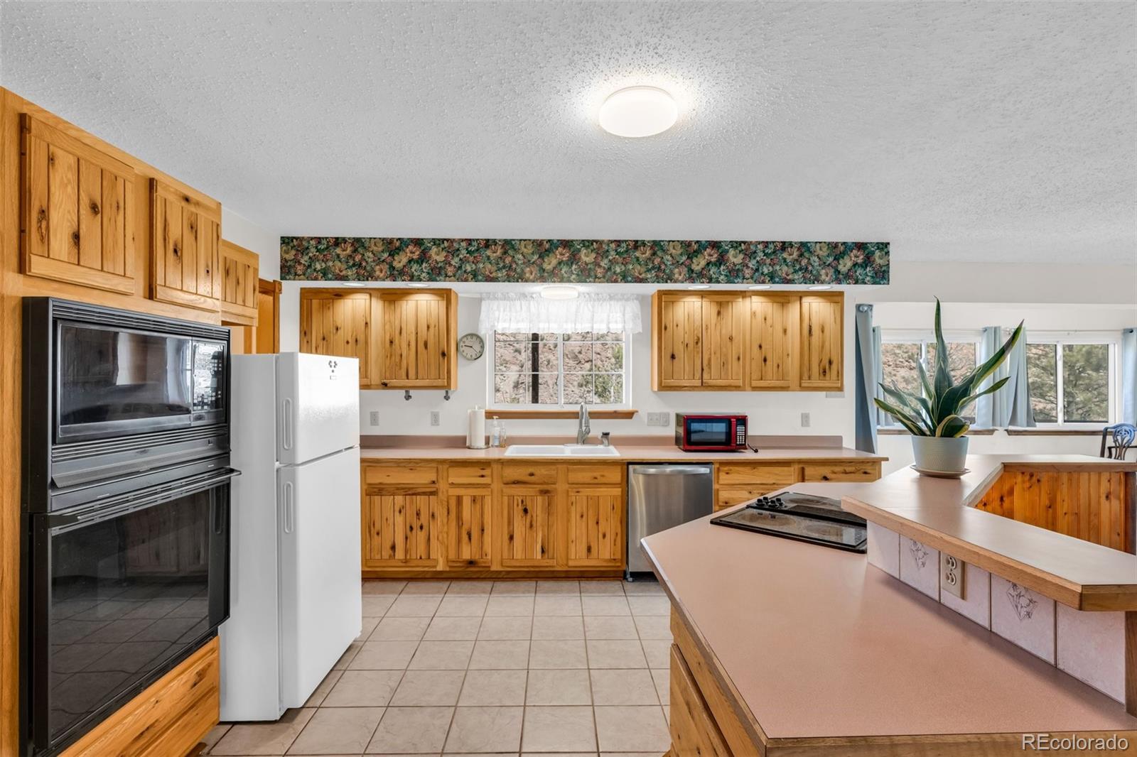 MLS Image #6 for 161  shannon road,cotopaxi, Colorado