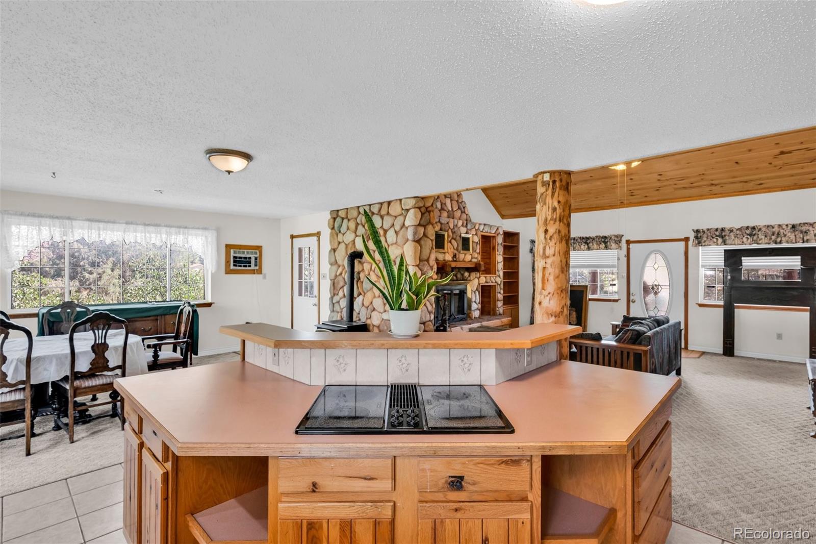 MLS Image #8 for 161  shannon road,cotopaxi, Colorado