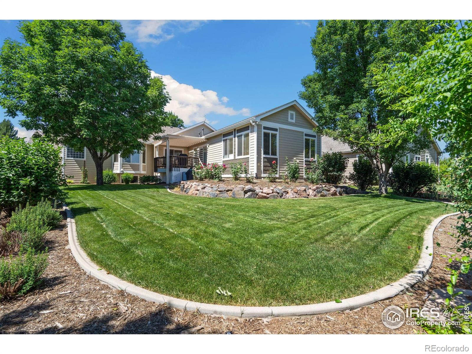 MLS Image #38 for 975  norway maple drive,loveland, Colorado