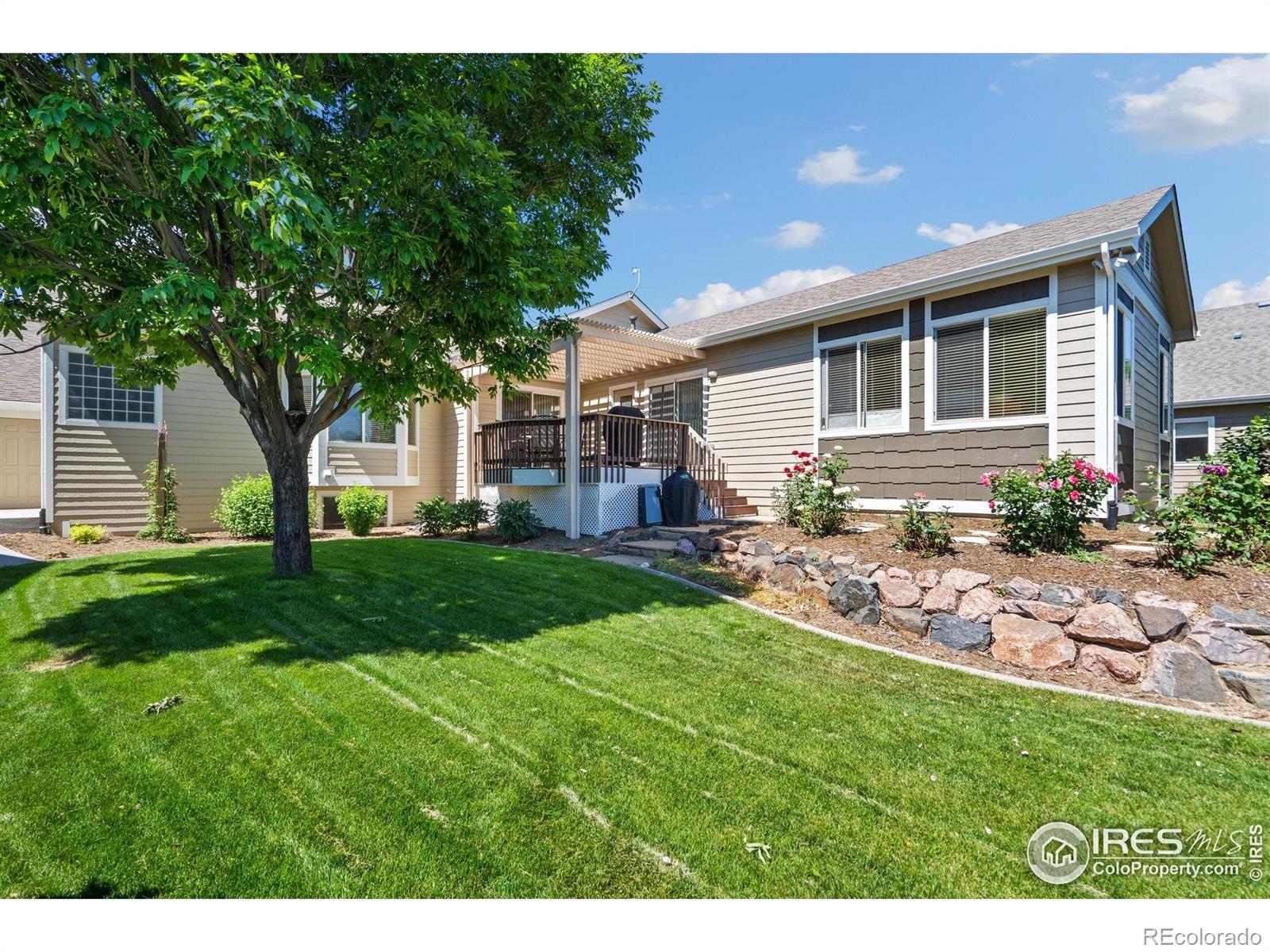 MLS Image #39 for 975  norway maple drive,loveland, Colorado