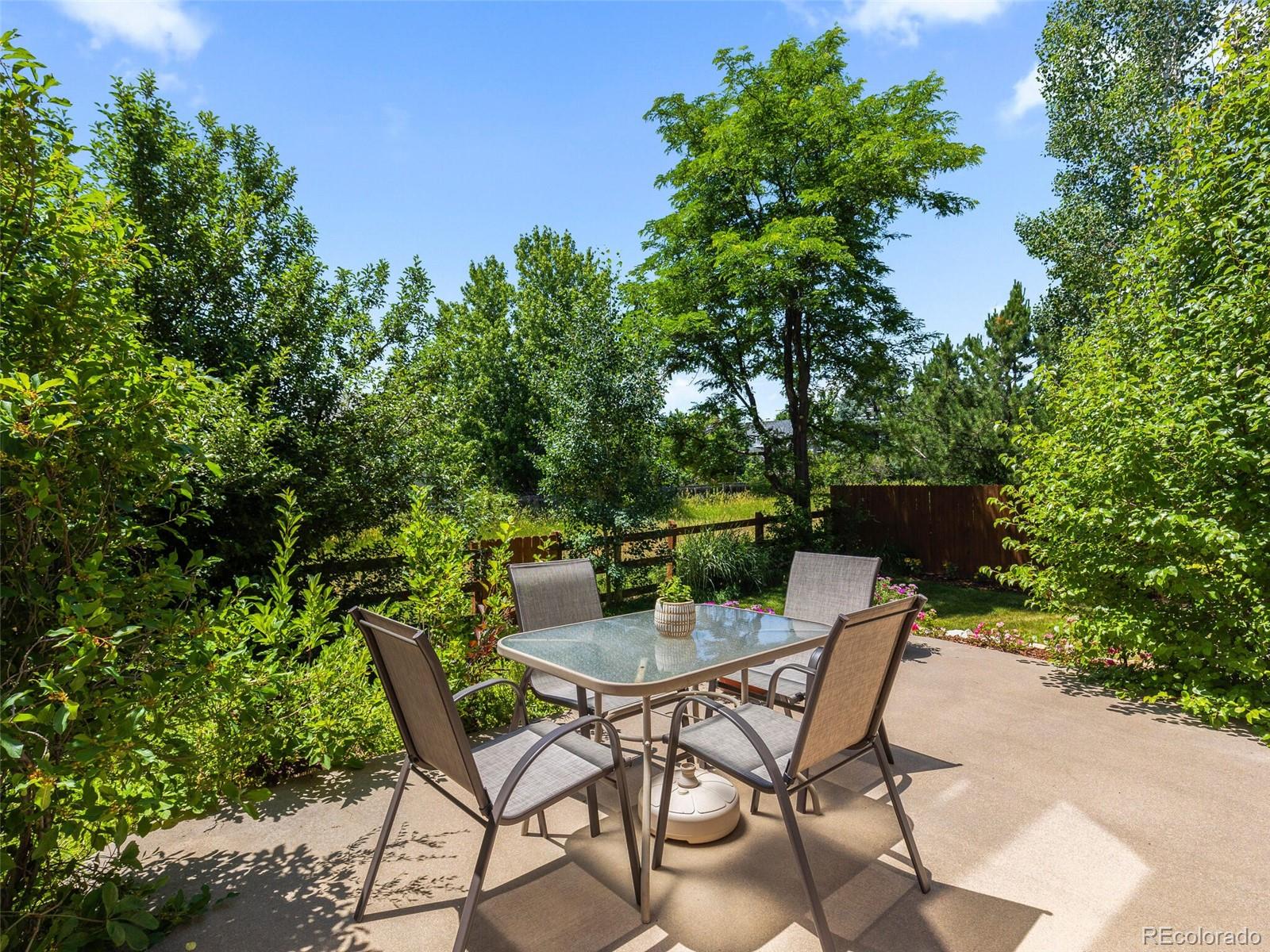 MLS Image #1 for 16362  oakmoor place,parker, Colorado
