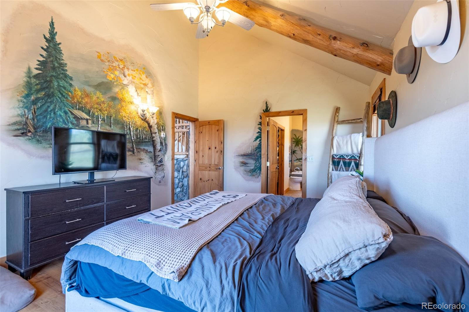 MLS Image #13 for 1563  pitchfork road,hartsel, Colorado