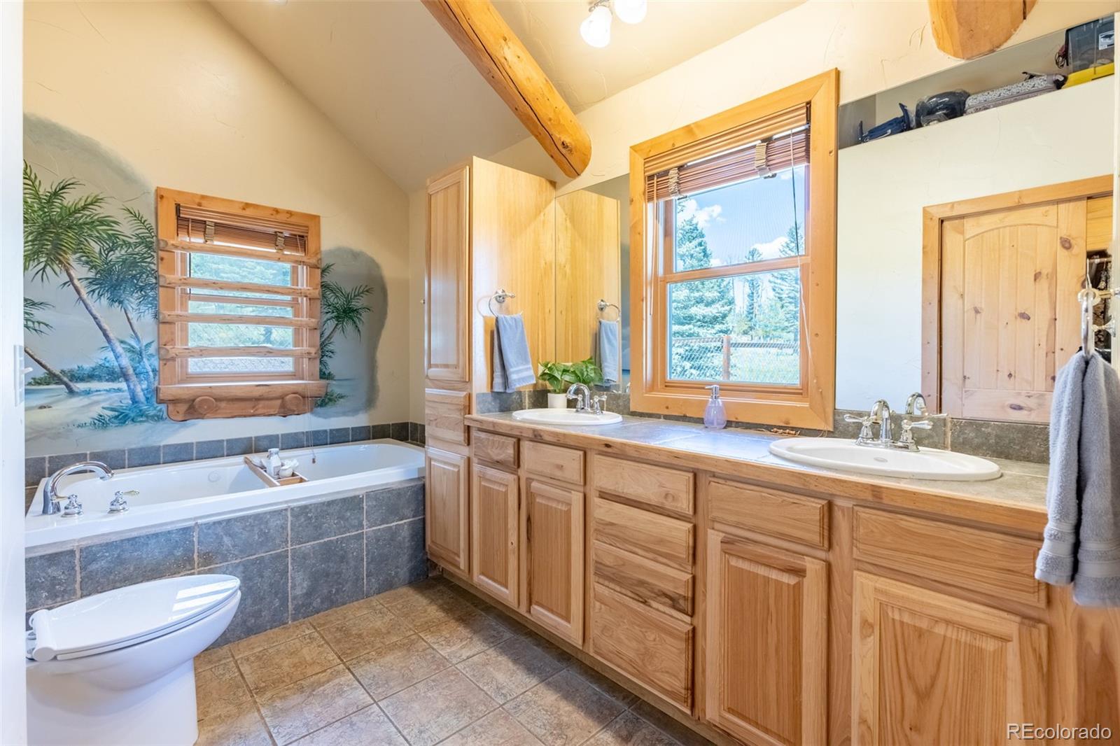 MLS Image #14 for 1563  pitchfork road,hartsel, Colorado