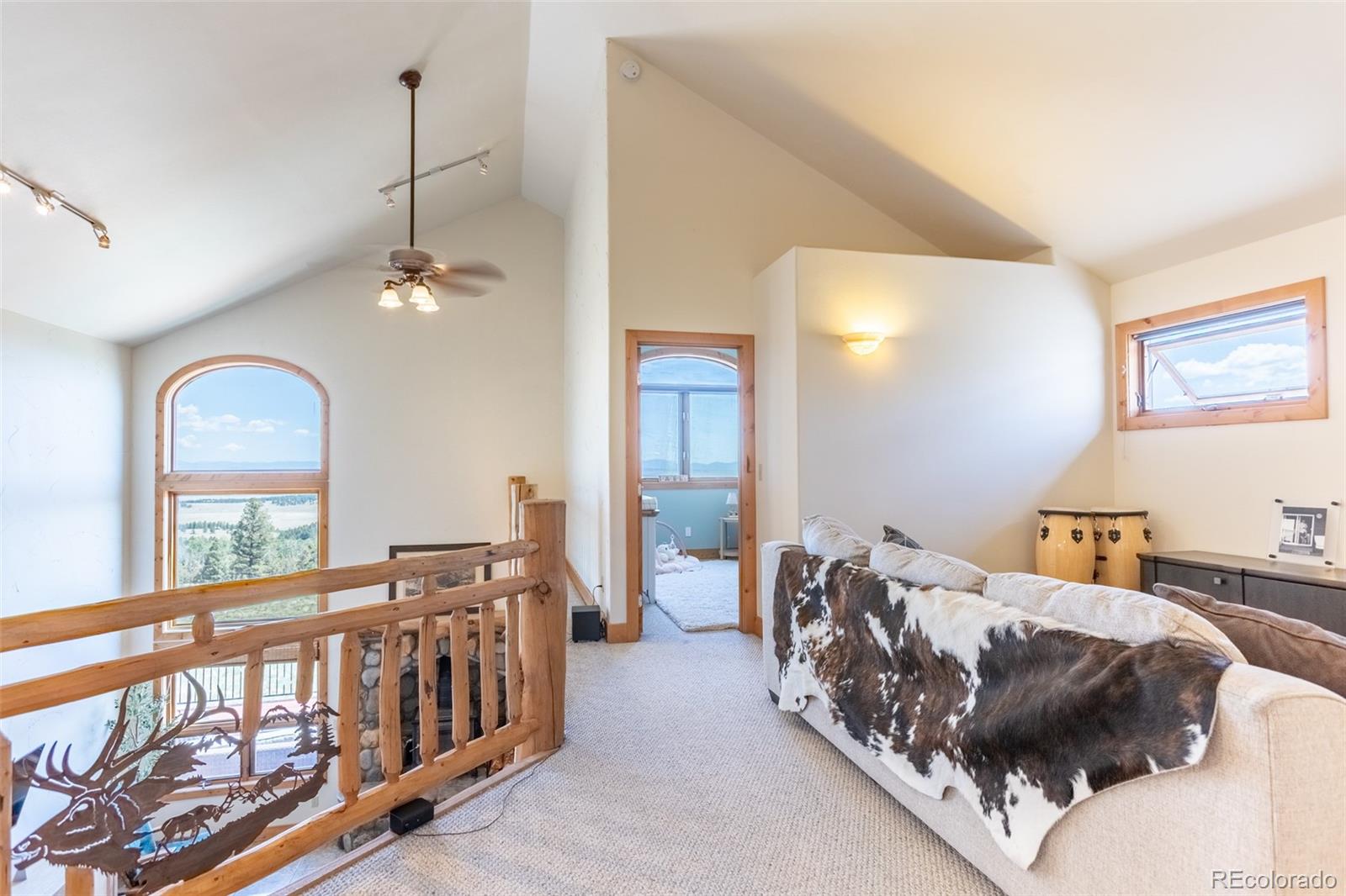 MLS Image #19 for 1563  pitchfork road,hartsel, Colorado