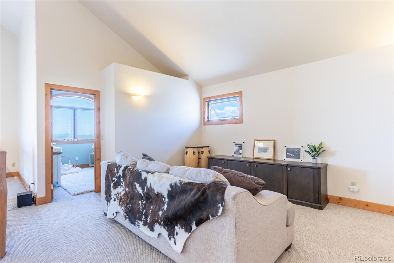 MLS Image #20 for 1563  pitchfork road,hartsel, Colorado
